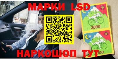 стаф Аргун