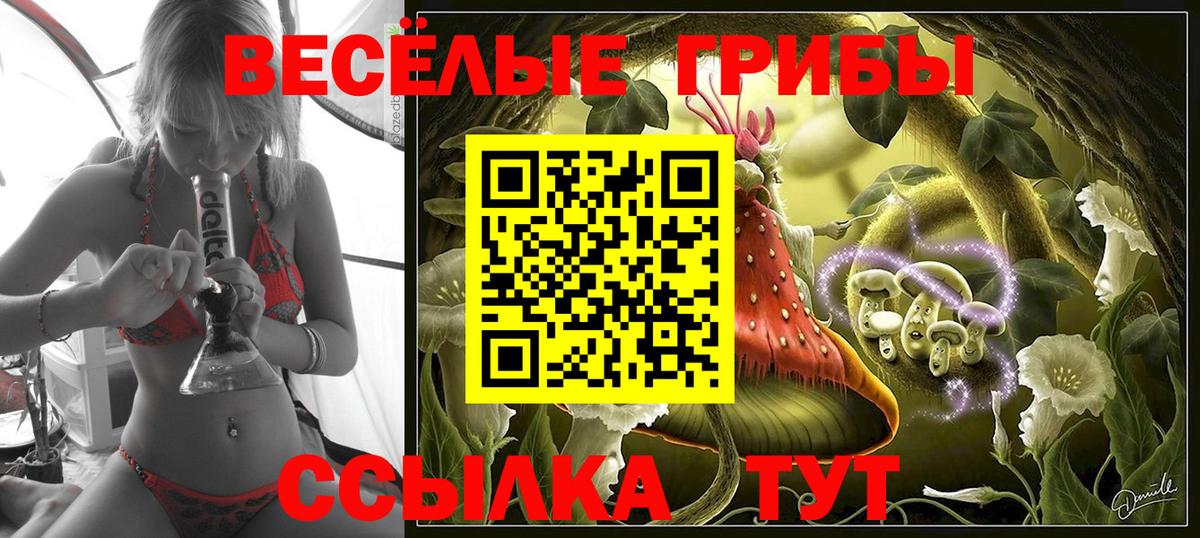 Галлюциногенные грибы Psilocybine cubensis Видное