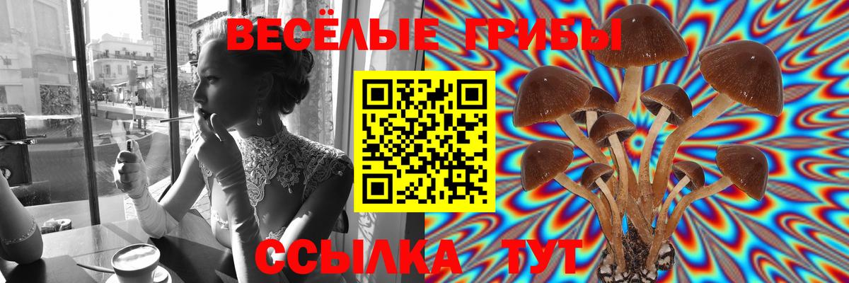 Псилоцибиновые грибы GOLDEN TEACHER  Вход с VPN  Видное 