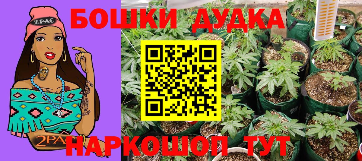 Бошки Шишки тримм Видное